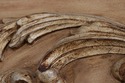 74777: ETHAN ALLEN Large Italian Carved Pier Mirro