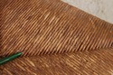 LF75514: Set of 6 STICKLEY Spindle Back Rush Seat 