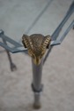 L72754: Regency Style Iron Brass & Glass Top Rams 