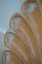 L72789: Set of 6 Italian Grotto Style Shell Back D