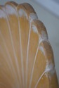 L72789: Set of 6 Italian Grotto Style Shell Back D