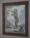 F64186EC: Set of 4 Gold Framed & Matted Monkey Pri