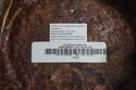 68113: NEW ~ MAITLAND SMITH 8101-21 Bronze Mounted