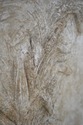 F74422: Neoclassical Framed Cherub Relief Stone Pl