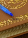 LF74442: Set of 10 Gold Embossed Leather Bound Boo