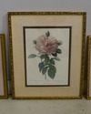 F65151EC: Lot of 3 Framed & Matted Floral Prints	