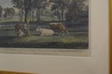 F60258EC: Vintage 18th Century Colored Engraving E