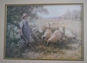 F61216EC: RAY BLACKLOCK Framed & Matted Shepherd's