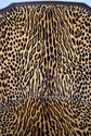 74449: Pair Of Cheetah Print Louis XVI Style Berge