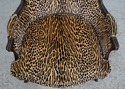 74449: Pair Of Cheetah Print Louis XVI Style Berge