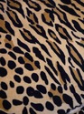 74449: Pair Of Cheetah Print Louis XVI Style Berge