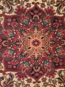 LF48868EC: Sarouk Pattern Approx. 7 x 10 Rug