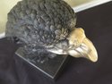 F37312: SIGNATURE STATUARY Bronze Eagle Head On Ma