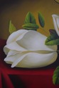 F64997: MAGNOLIA FLOWERS Still Life Artist Signed 