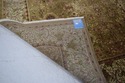 LF67254: ETHAN ALLEN Approx. 8 x 10 Room Size Rug
