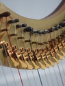 F72060: STUDIO CRAFTED Walnut Celtic Lever Harp