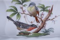 F72084: HEREND ROTHSCHILD Bird Pattern Set of Fine