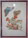 F73929: Pair of Vintage Framed & Matted Butterfly 