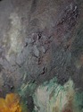 F73966: AVANCARIA Artist Signed Floral Still Life 