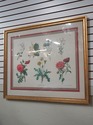 F73930: Pair of Large Floral Botanical German Colo