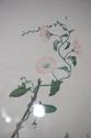 F73930: Pair of Large Floral Botanical German Colo