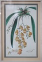 F73940: Set of 4 Botanical Colored Vintage Engravi