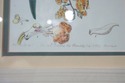 F73940: Set of 4 Botanical Colored Vintage Engravi