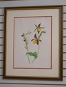 F60985EC: Pair Vintage Framed & Matted Botanical P