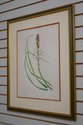 F60985EC: Pair Vintage Framed & Matted Botanical P