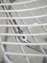 F74137: HARRY BERTOIA For KNOLL Pair Of White Wire