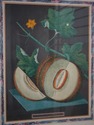 F51631: Pair Of Fruit Prints By George Brookshaw