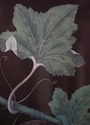 F51631: Pair Of Fruit Prints By George Brookshaw