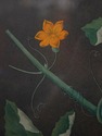 F51631: Pair Of Fruit Prints By George Brookshaw