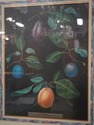 F51627: Pair Of Fruit Prints By George Brookshaw