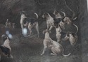 F41693: Run The Earth Heywood Hardy Hunt Scene Eng