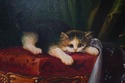 F41710: Framed Oil On Canvas Painting Of Cats