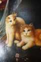 F41710: Framed Oil On Canvas Painting Of Cats