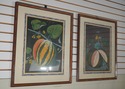 F51629: Pair Of Fruit Prints By George Brookshaw