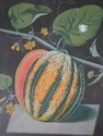F51629: Pair Of Fruit Prints By George Brookshaw