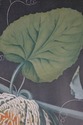 F51629: Pair Of Fruit Prints By George Brookshaw