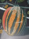 F51629: Pair Of Fruit Prints By George Brookshaw