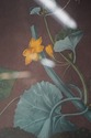F51629: Pair Of Fruit Prints By George Brookshaw