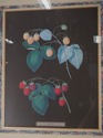 F51628: Pair Of Berry Prints By George Brookshaw