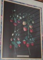 F51628: Pair Of Berry Prints By George Brookshaw