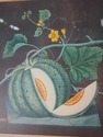 F51632: Pair Of Fruit Prints By George Brookshaw