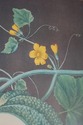 F51632: Pair Of Fruit Prints By George Brookshaw