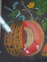 F51632: Pair Of Fruit Prints By George Brookshaw