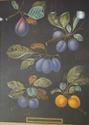 F51633: Pair Of Framed Fruit Prints By George Broo