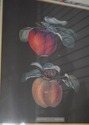 F51633: Pair Of Framed Fruit Prints By George Broo