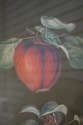 F51633: Pair Of Framed Fruit Prints By George Broo